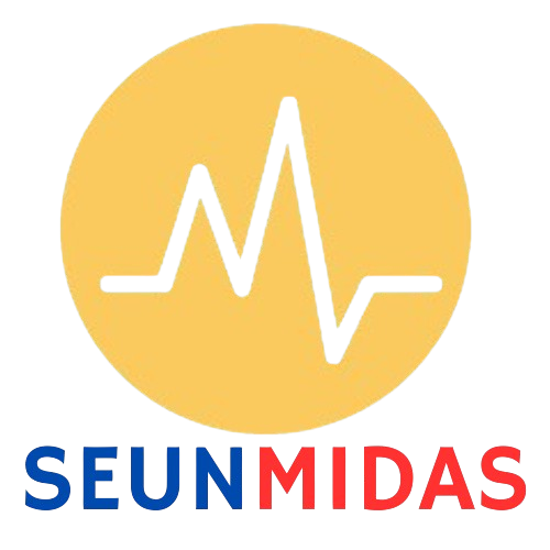SEUNMIDAS Compliance Services